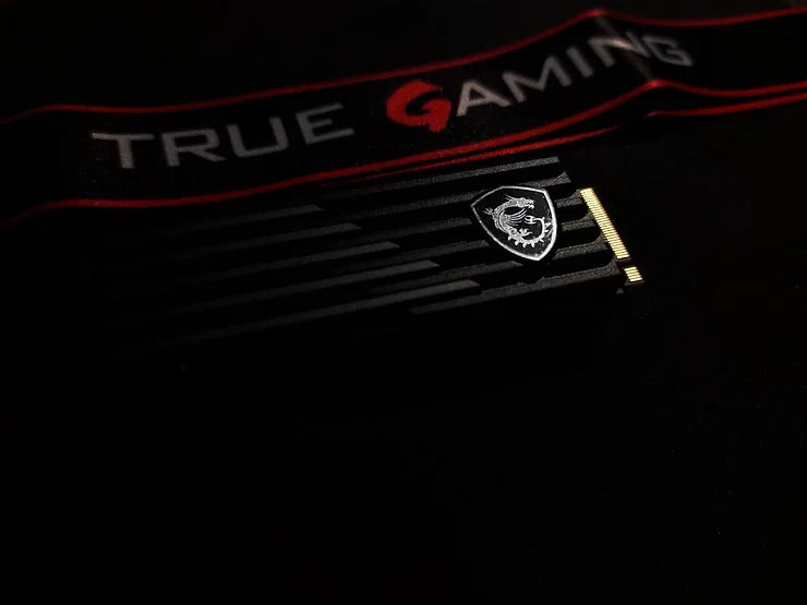 MSI Spatium M480 Play Review